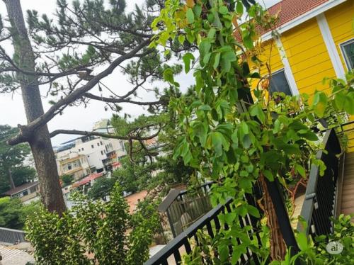a yellow house with a tree in front of it at Góc Phố Vắng in Xuan An