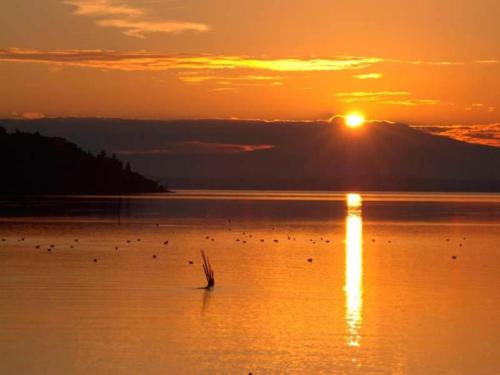 a group of birds in the water at sunset at Modern Holiday Home in Pietrafitta Umbria with Garden in Pietrafitta