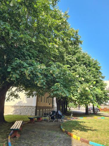 a park with benches and trees in front of a building at Черногория Квартира у моря in Rafailovici