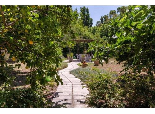un camino de piedra en medio de un jardín en Le Dimore di Hanqorias, en Muro Leccese