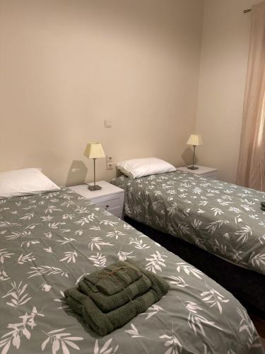 a bedroom with two beds and a green blanket at Anefos apartment in Ágios Rókkos