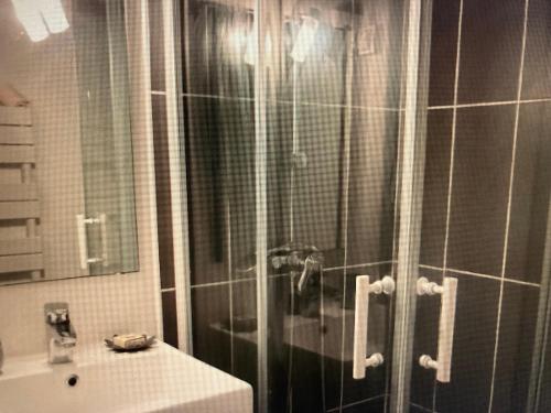 une salle de bain avec douche et lavabo dans l'établissement Studio calme, cosy, lumineux, à Bayonne