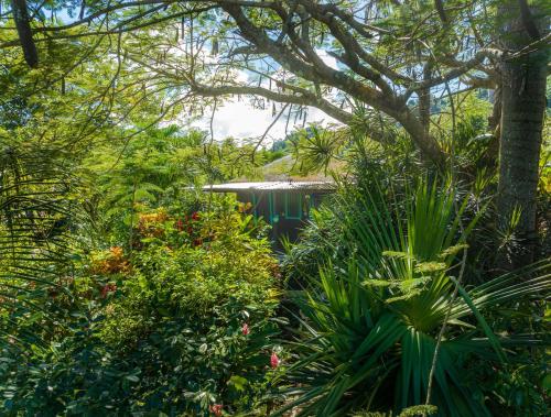 a garden with plants and trees and a building at Hibiscus Valley Inn in Marigot