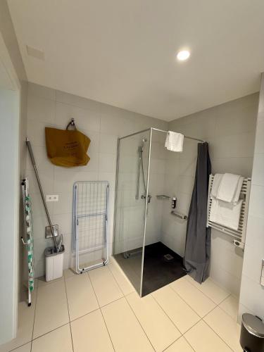 a bathroom with a shower with a glass door at Alp Art Hotel Monthey in Collombey