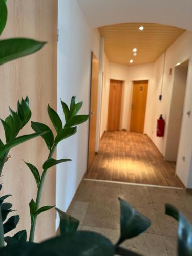 a hallway in a building with a plant in the foreground at Pension Werre Stern in Bad Oeynhausen