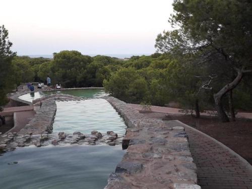 Bazén v ubytování R-5080 La Mata Apartment nebo v jeho okolí