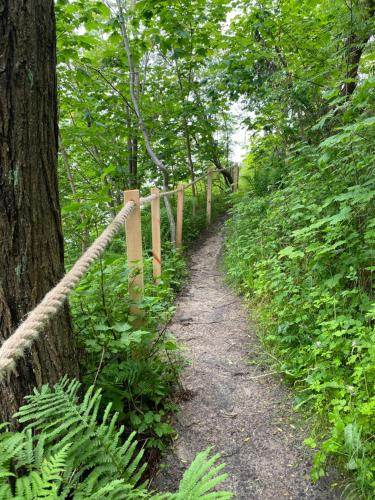 a trail in the woods with a wooden fence at Apartamenty Na Klifie Przystań 18 Chłapowo in Władysławowo
