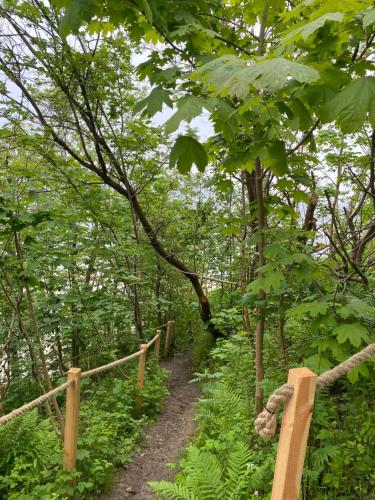 a trail in the woods with a wooden fence at Apartamenty Na Klifie Przystań 18 Chłapowo in Władysławowo