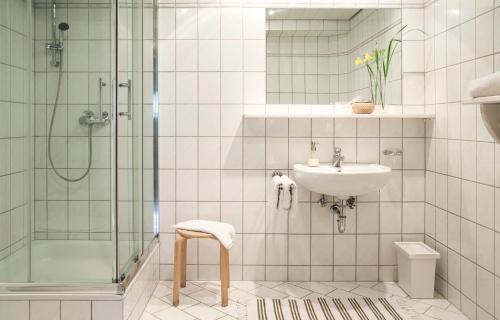 a bathroom with a shower and a sink and a toilet at Ferienwohnungen Grimm in Nennslingen