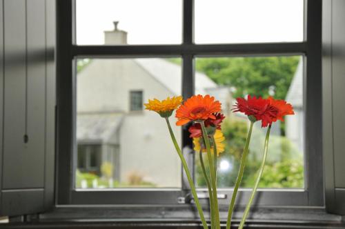 twee vazen met oranje en gele bloemen in een raam bij Beili in Saint Florence