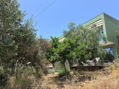 a green house with trees in front of it at FinIQ Boutiq Studios in Foiníki