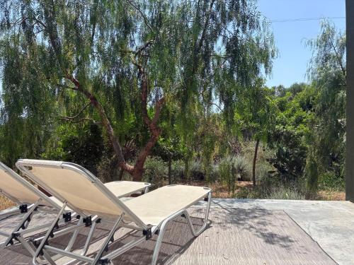 two lawn chairs sitting on a deck with a tree at FinIQ Boutiq Studios in Foiníki