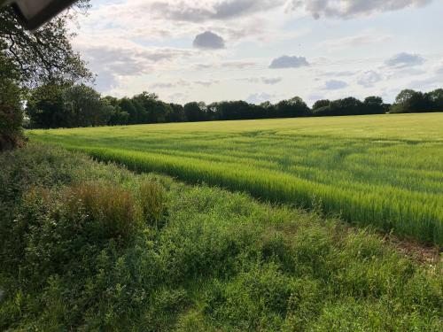 Φωτογραφία από το άλμπουμ του Lower Farm Lodge σε Stowmarket