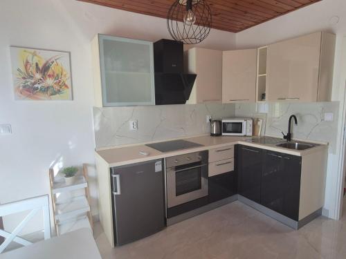 a kitchen with a sink and a microwave at Apartments Orlić in Sali