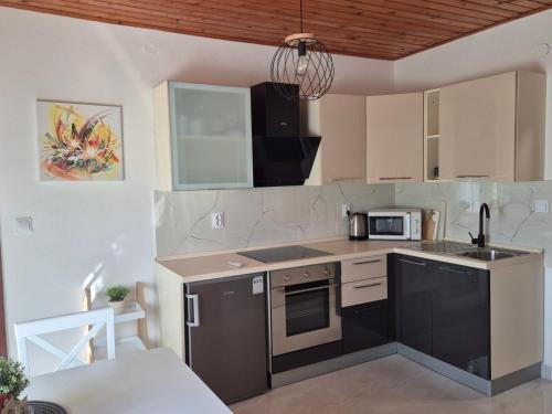 a kitchen with a sink and a microwave at Apartments Orlić in Sali