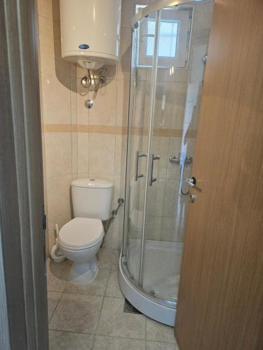 a bathroom with a toilet and a glass shower at Apartmani Sabotic in Sutomore