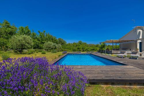 Bazén v ubytování Holiday house GARICA nebo v jeho okolí