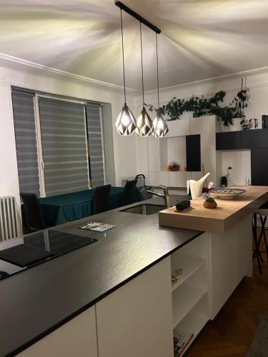 une cuisine avec un comptoir et un salon dans l'établissement Séjour entre ville et montagnes Appartement 100m2, à Thann