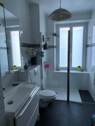 a white bathroom with a toilet and a sink at Séjour entre ville et montagnes Appartement 90 m2 in Thann