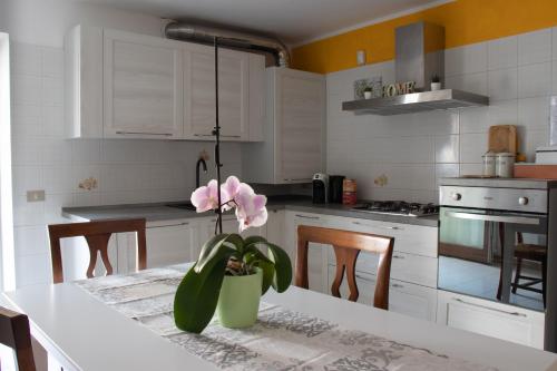 a kitchen with white cabinets and a table with a plant at Casa Vacanze Al Borgo in Caprino Veronese