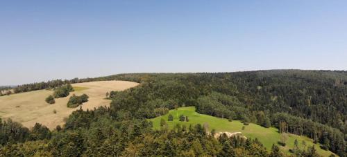 an aerial view of a hill with trees at Temeszówka domek do wynajęcia in Temeszów
