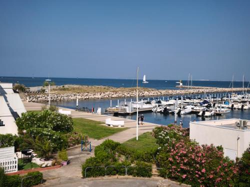 einen Yachthafen mit im Wasser geparkt in der Unterkunft Adoya plage Studio cabine vue port et mer in Le Grau-du-Roi