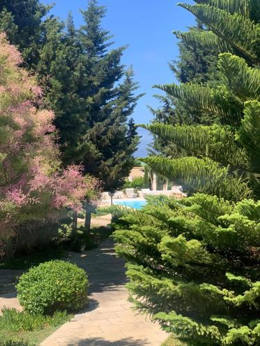 a garden with trees and a swimming pool at Villa Dei Lidi - HomeSalento com in Torre San Giovanni Ugento
