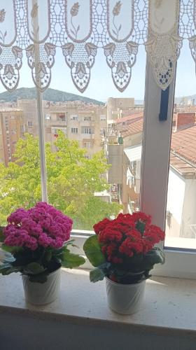 Studio apartment Agava with terrace near Old Town