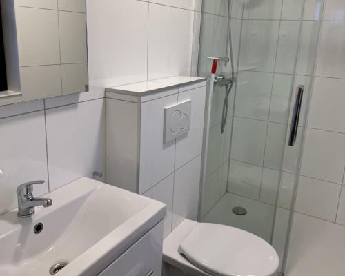 a bathroom with a shower and a toilet and a sink at Enkhuizer Strand Chalet Meereszauber Nr 304 in Enkhuizen