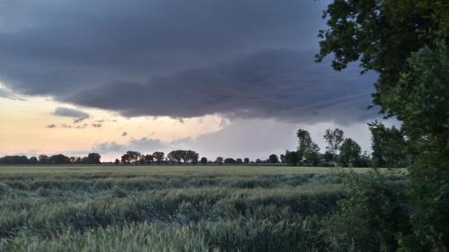 a stormy sky over a field of grass at Agriturismo Boschi in Reggiolo
