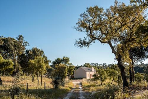 una strada sterrata che conduce a un fienile e alberi di Braciosa a Coruche
