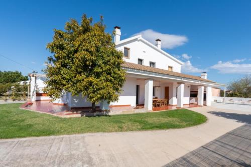 Lo Ribé - Casa gran amb Piscina a la vora del riu Ebre