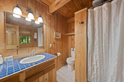 a bathroom with a sink and a toilet and a mirror at Natures Call in Boone
