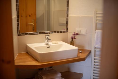 a bathroom with a white sink and a mirror at Landhaus Trinker in Schladming