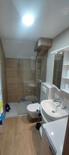 a bathroom with a shower and a toilet and a sink at Peace & green in Žabljak