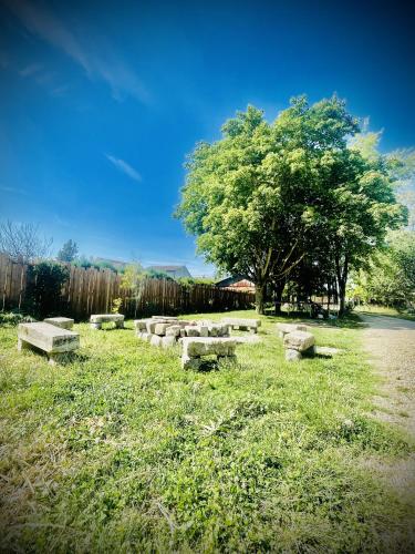 a group of benches in a field with a tree at Grand Deluxe Poule Noire in Égreville