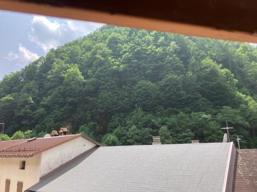 a view of a mountain from the roof of a building at Rustichello in Timau