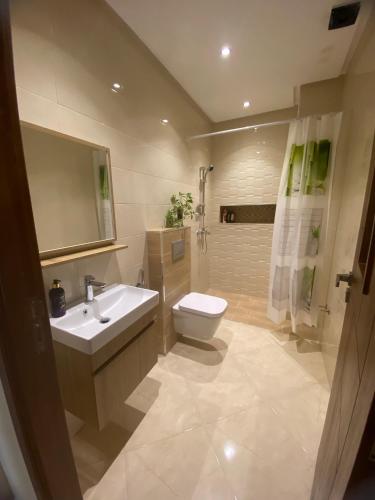 a bathroom with a sink and a toilet and a shower at Appartement spatieux in Tangier