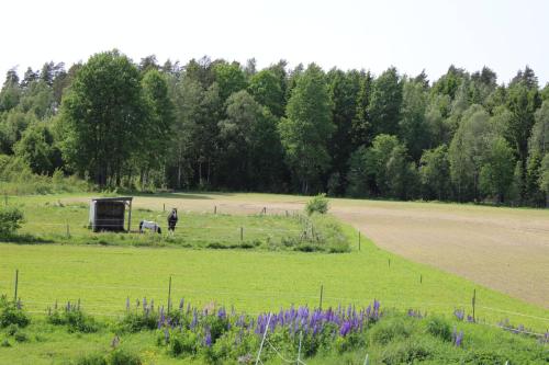 Příroda nedaleko apartmánu