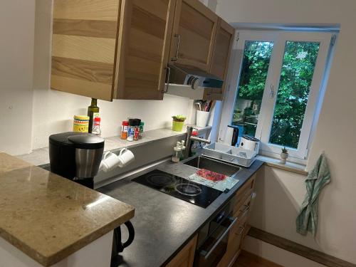 ミュンヘンにあるGemütliches Appartement in Neuhausen-Nymphenburgの小さなキッチン(コンロ、シンク付)