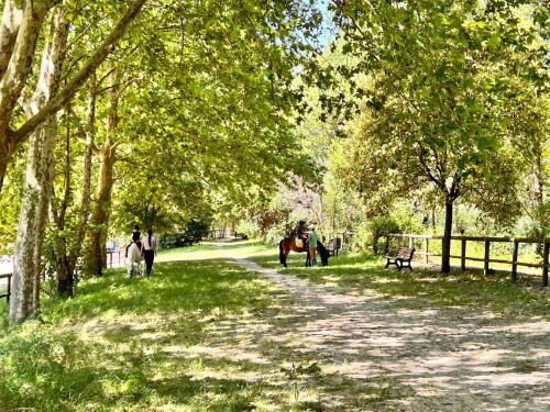a person riding a horse on a path in a park at Appartamento Teresina in Atina