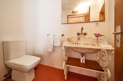 a bathroom with a sink and a toilet at Refúgio entre o Pomar e o Rio Douro in Raiva
