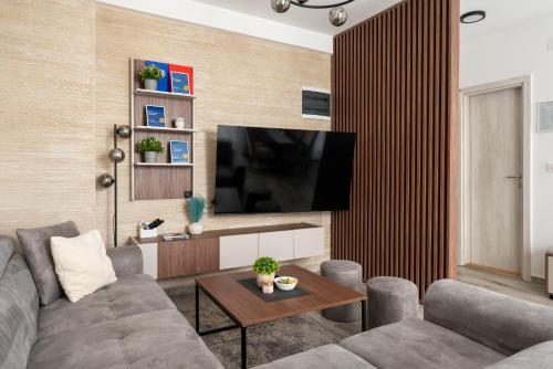 a living room with a couch and a flat screen tv at Vision apartmani Vrnjačka Banja in Vrnjačka Banja