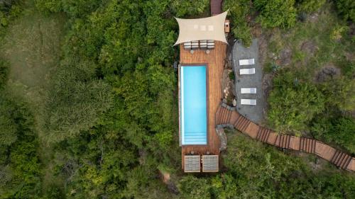 an overhead view of a swimming pool in a forest at Mahali Mzuri in Aitong