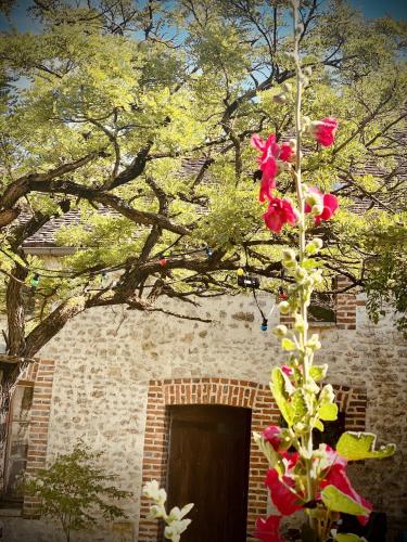 a plant with red flowers in front of a building at Domaine Poule Noire exclusif in Égreville
