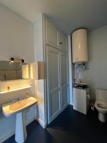 La salle de bains est pourvue d'un évier et d'un réfrigérateur blanc. dans l'établissement Appartement vue Mont Blanc, à Combloux