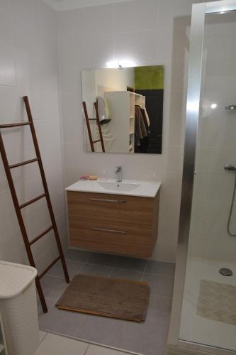 La salle de bains est pourvue d'un lavabo, d'une échelle et d'un miroir. dans l'établissement Maison Vigneronne, à Salinelles