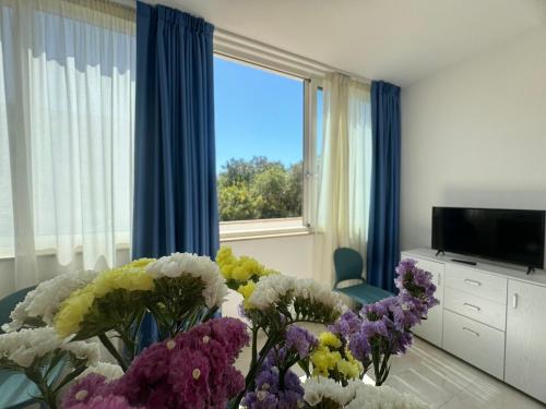 Μια τηλεόραση ή/και κέντρο ψυχαγωγίας στο Rosa Dei Venti Apartments