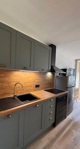 La cuisine est équipée de placards gris, d'un évier et d'un réfrigérateur. dans l'établissement Beach cabin studio, à Argelès-sur-Mer