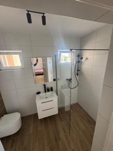 a bathroom with a shower and a toilet and a sink at Alka in Mielno